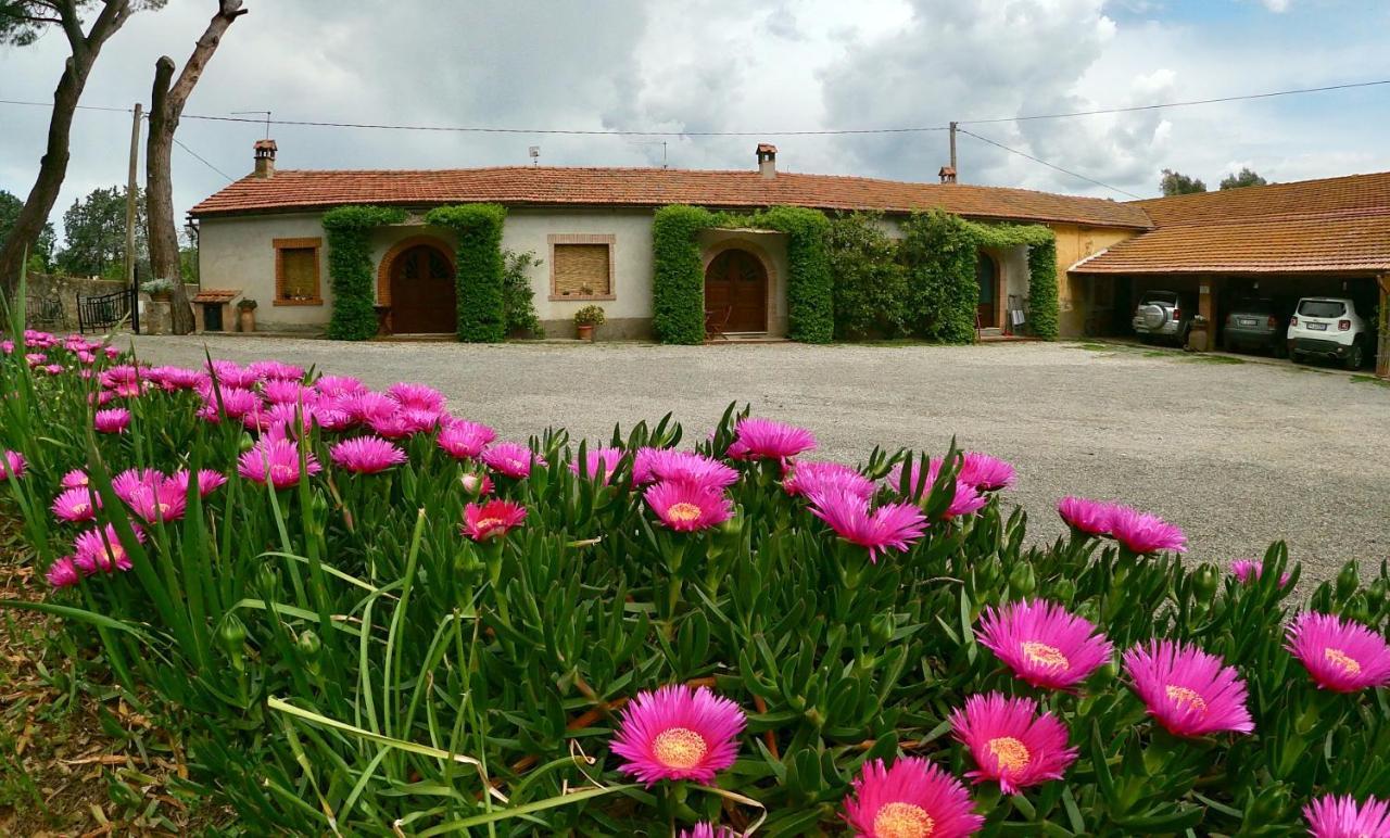 Agriturismo Monte Alzato กาปัลบีโอ ภายนอก รูปภาพ