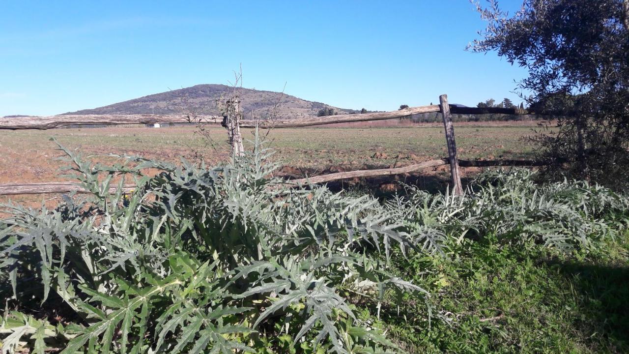 Agriturismo Monte Alzato กาปัลบีโอ ภายนอก รูปภาพ