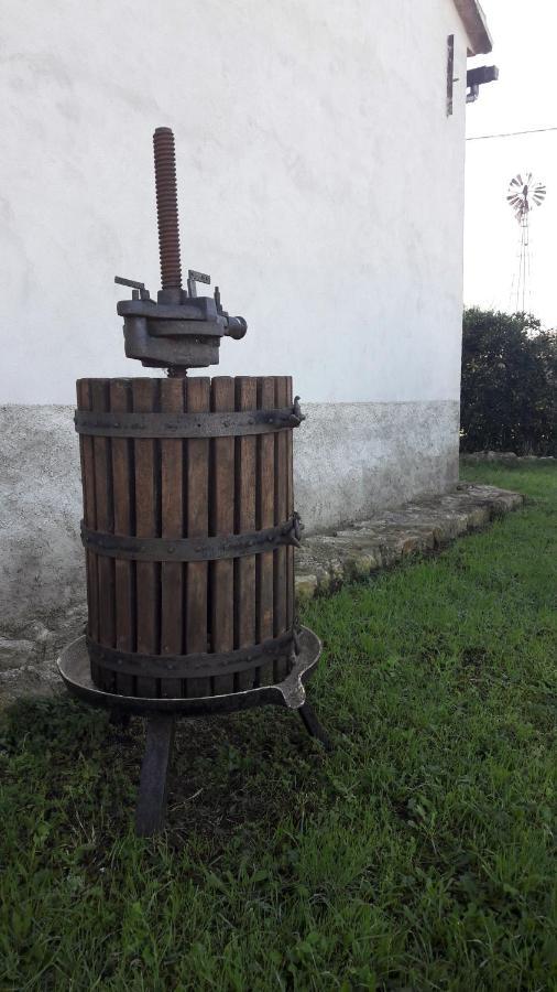 Agriturismo Monte Alzato กาปัลบีโอ ภายนอก รูปภาพ