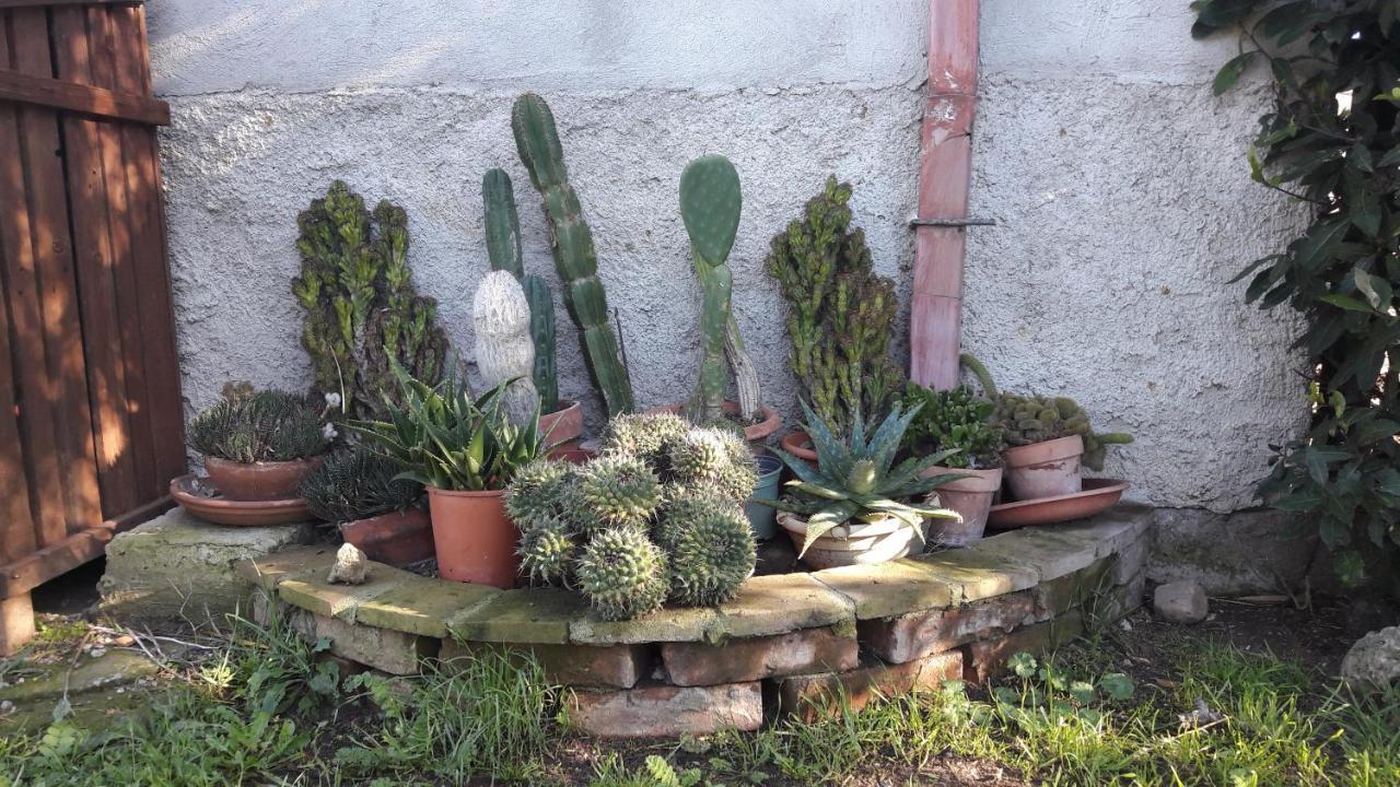 Agriturismo Monte Alzato กาปัลบีโอ ภายนอก รูปภาพ