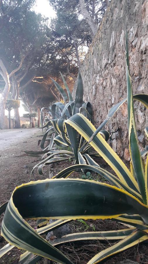 Agriturismo Monte Alzato กาปัลบีโอ ภายนอก รูปภาพ