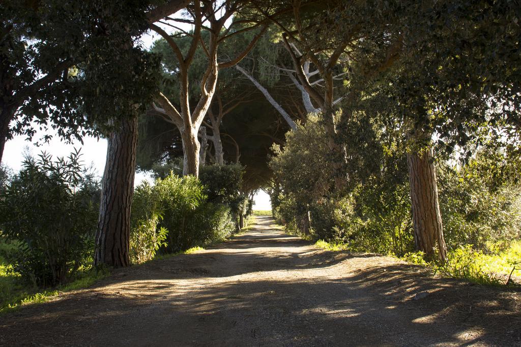 Agriturismo Monte Alzato กาปัลบีโอ ภายนอก รูปภาพ