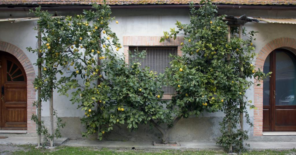 Agriturismo Monte Alzato กาปัลบีโอ ห้อง รูปภาพ