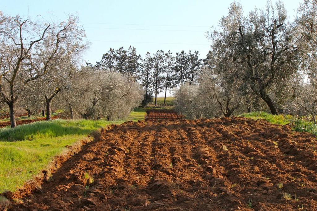 Agriturismo Monte Alzato กาปัลบีโอ ภายนอก รูปภาพ
